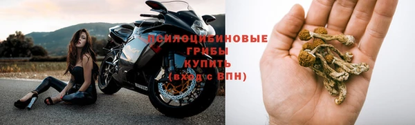каннабис Беломорск