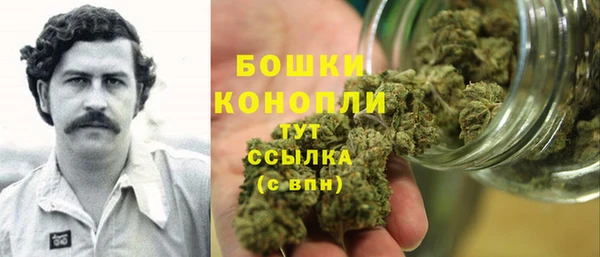 ECSTASY Богородск