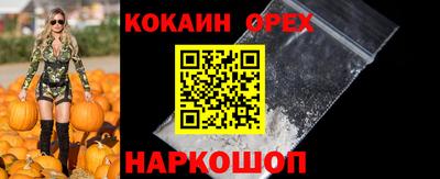 apvp Гатчина