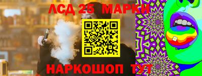 apvp Гатчина