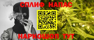 apvp Гатчина