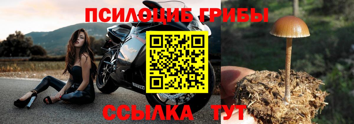 Галлюциногенные грибы мухоморы Свободный