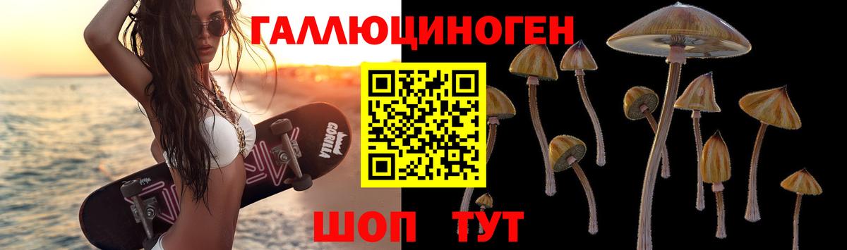 Псилоцибиновые грибы MAGIC MUSHROOMS  Вход с VPN  Свободный 