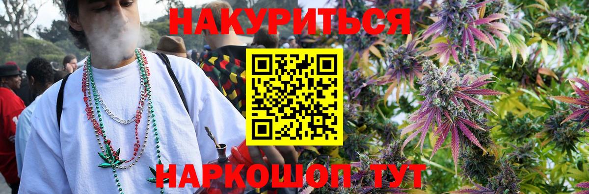 Конопля сатива  Канабис семена  Вход с VPN  Свободный  Конопля планчик 